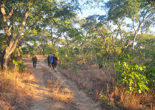 Walking Safari in Malawi
